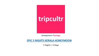 EPIC 5 NIGHTS KERALA HONEYMOON