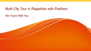 Multi city tour in rajasthan with padharo
