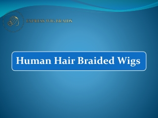 Human Hair Braided Wigs