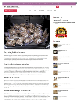 Magic Mushrooms