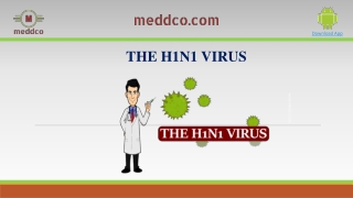 Swine Flu Symptoms Treatment And Prevention|Meddco