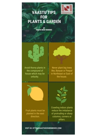 Vaastu Tips For Plants And Garden - Vaastu Dosh Remedies