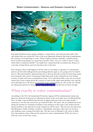 Water Contamination – Reasons and Diseases Caused by It