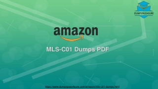 2019 Latest Amazon MLS-C01 Dumps Question & Answers | Amazon MLS-C01