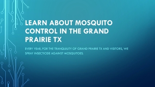 Mosquito Control near Me Grand Prairie TX