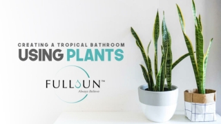 Creating A Tropical Bathroom Using Plants