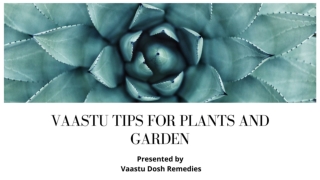 Vaastu Tips For Plants And Garden