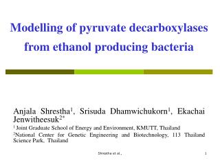 Modelling of pyruvate decarboxylases from ethanol producing bacteria