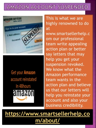 Best Amazon Appeal Plan of Action Service in Europe-Smart Seller Help