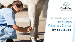 Advantages of Ambulatory Veterinary Services