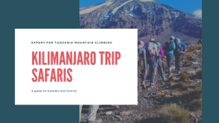 Best Kilimanjaro Trekking Tours