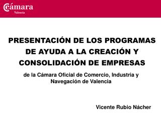 PRESENTACIÓN DE LOS PROGRAMAS DE AYUDA A LA CREACIÓN Y CONSOLIDACIÓN DE EMPRESAS