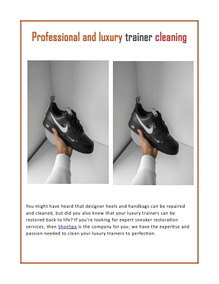 Professional and luxury trainer cleaning
