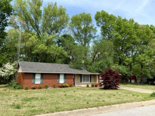 Tree service rogers ar