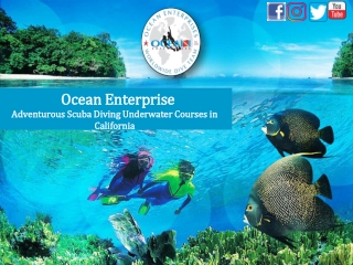 Adventurous Scuba Diving Underwater Courses in California, San Diego