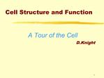 Cell Structure and Function