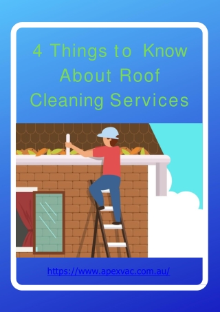 4 Things to Know About Roof Cleaning Services