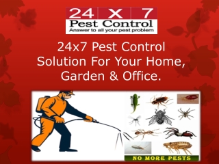 Best Pest Control In Delhi