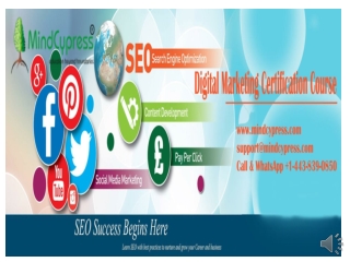 Digital Marketing Courses Workshop | Certification Digital Marketing Training Workshop| Mindcypress