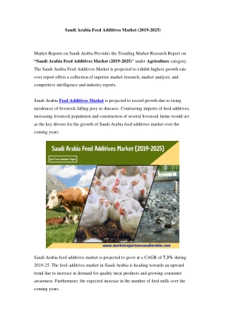 Saudi Arabia Feed Additives Market: Industry Trends, Opportunity and Forecast Till 2025