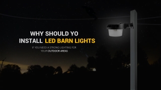 Secure Your Yard By Using LED Yard Lights