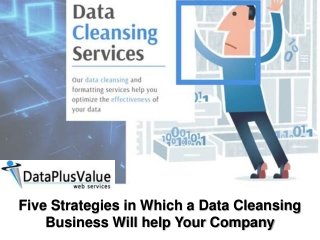 Why Data Cleansing Services is Very Important?