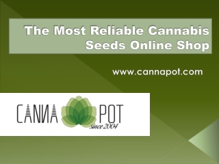 The Most Reliable Cannabis Seeds Online Shop