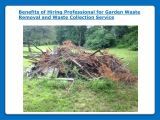 Benefits of Hiring Professional for Garden Waste Removal