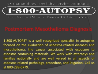 Postmortem Mesothelioma Diagnosis