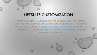 NetSuite Customization