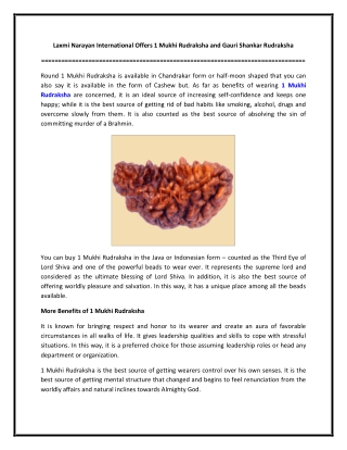 Laxmi Narayan International Offers 1 Mukhi Rudraksha and Gauri Shankar Rudraksha