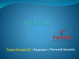Fegon Group LLC - Network Security - 8445134111