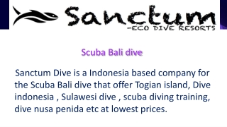 Scuba Bali dive