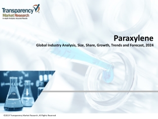 Paraxylene Market Forecast and Trends Analysis Research Report 2024