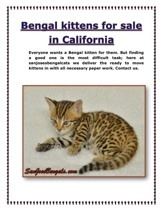 Bengal kittens for sale in California