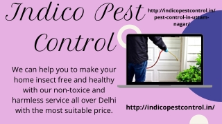 Pest Control in Janakpuri