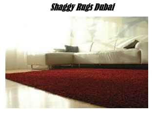 Shaggy Rugs Dubai