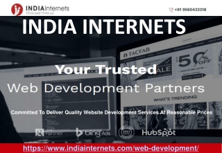 Web Development Company in Delhi NCR-India Internets