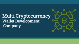 Multi Cryptocurrency Wallet Development