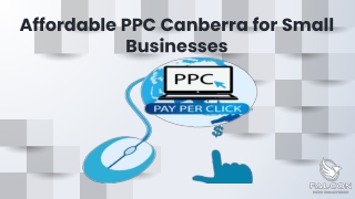 Affordable PPC Canberra for Small Businesses