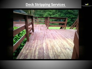 Come And Avail Our Deck Stripping Services In Cornelius NC