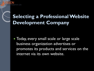Selecting a Professional Website Development Company