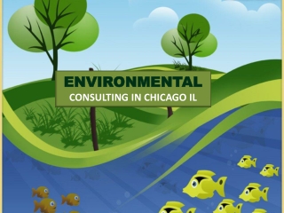 Environmental Consulting In Chicago IL