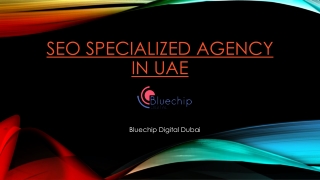 The Leaders in Dubai SEO | SEO services Dubai | SEO services in Abu Dhabi