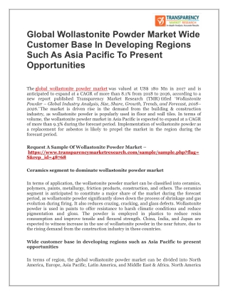 global wollastonite powder market Wide customer base in developing regions such as Asia Pacific to present opportunities