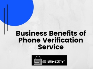 Business Benefits of Phone Verification Service