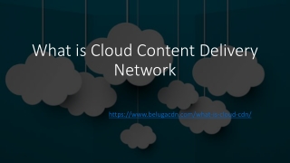 Cloud Content Delivery Network - BelugaCDN