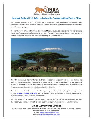 Serengeti National Park Safari to Explore the Famous National Park in Africa