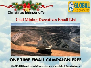 Coal Mining Executives Email List