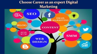 Digital Marketing Training in Delhi